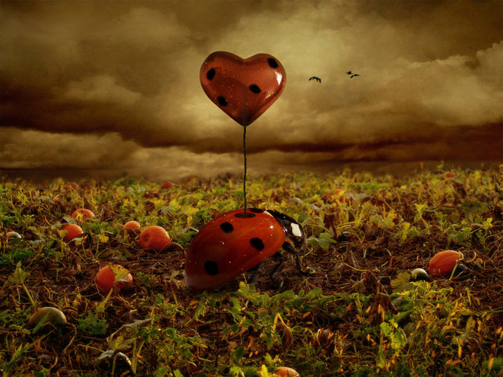 Www Pix98 CoM montakhab7 010