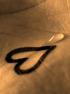 Www.Pix98.CoM mobile48 (56)