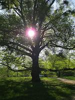 Die Natur