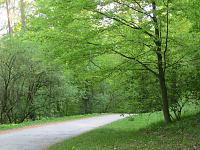 IMG 0274