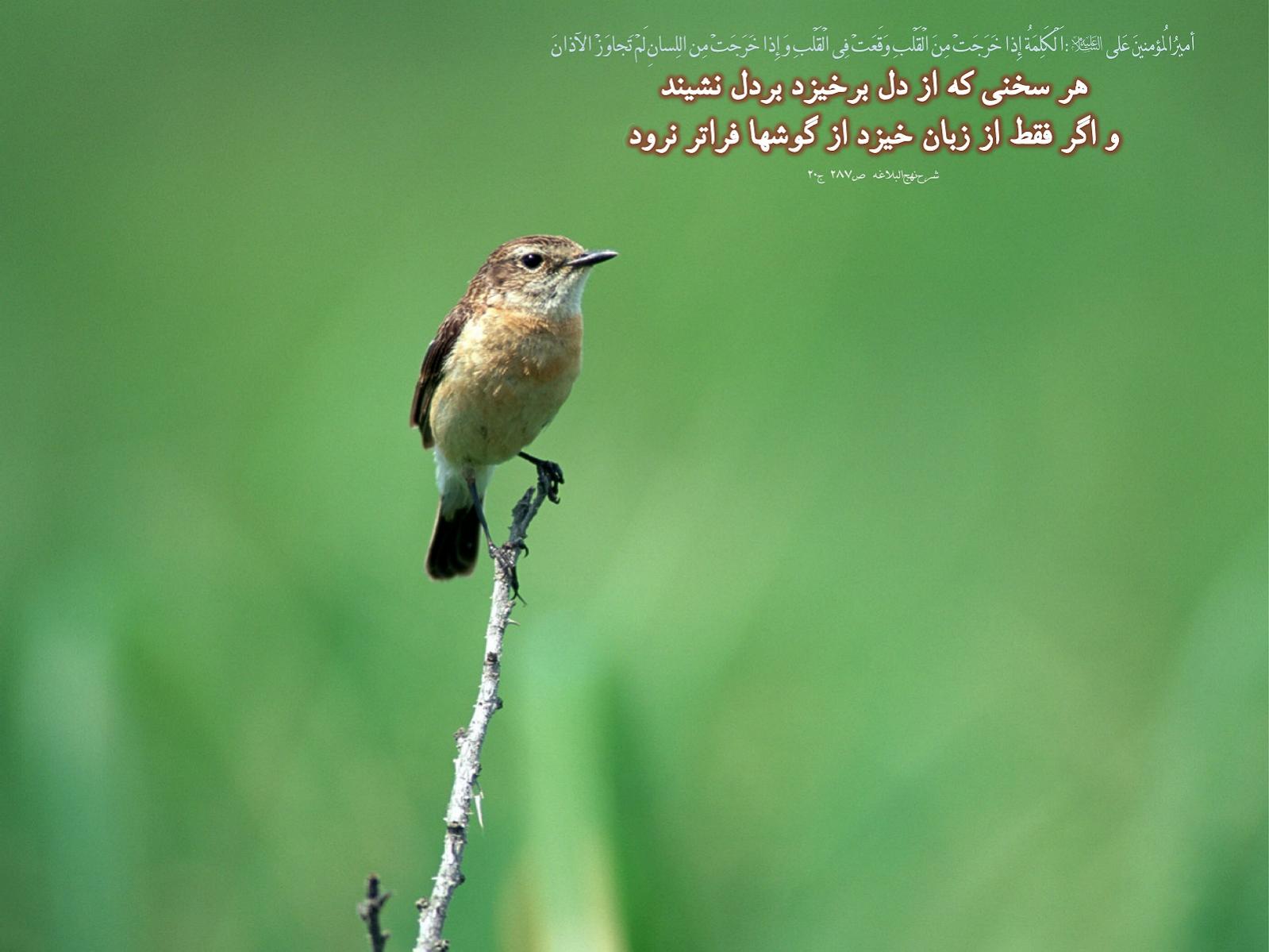 641Hadis H078