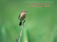 641Hadis H078