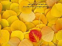 641Hadis H039