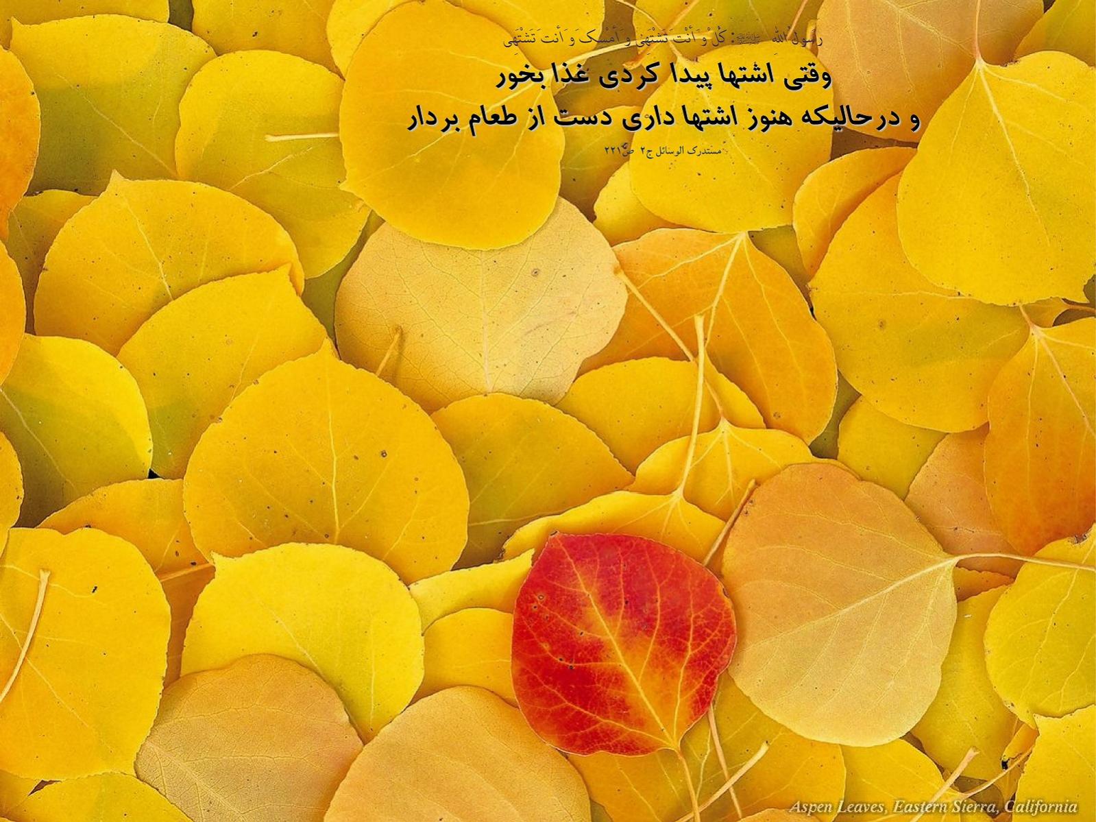 641Hadis H039