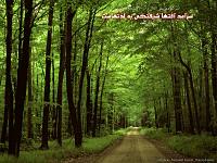 641Hadis H033