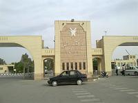 madar
