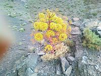 روستای ما
