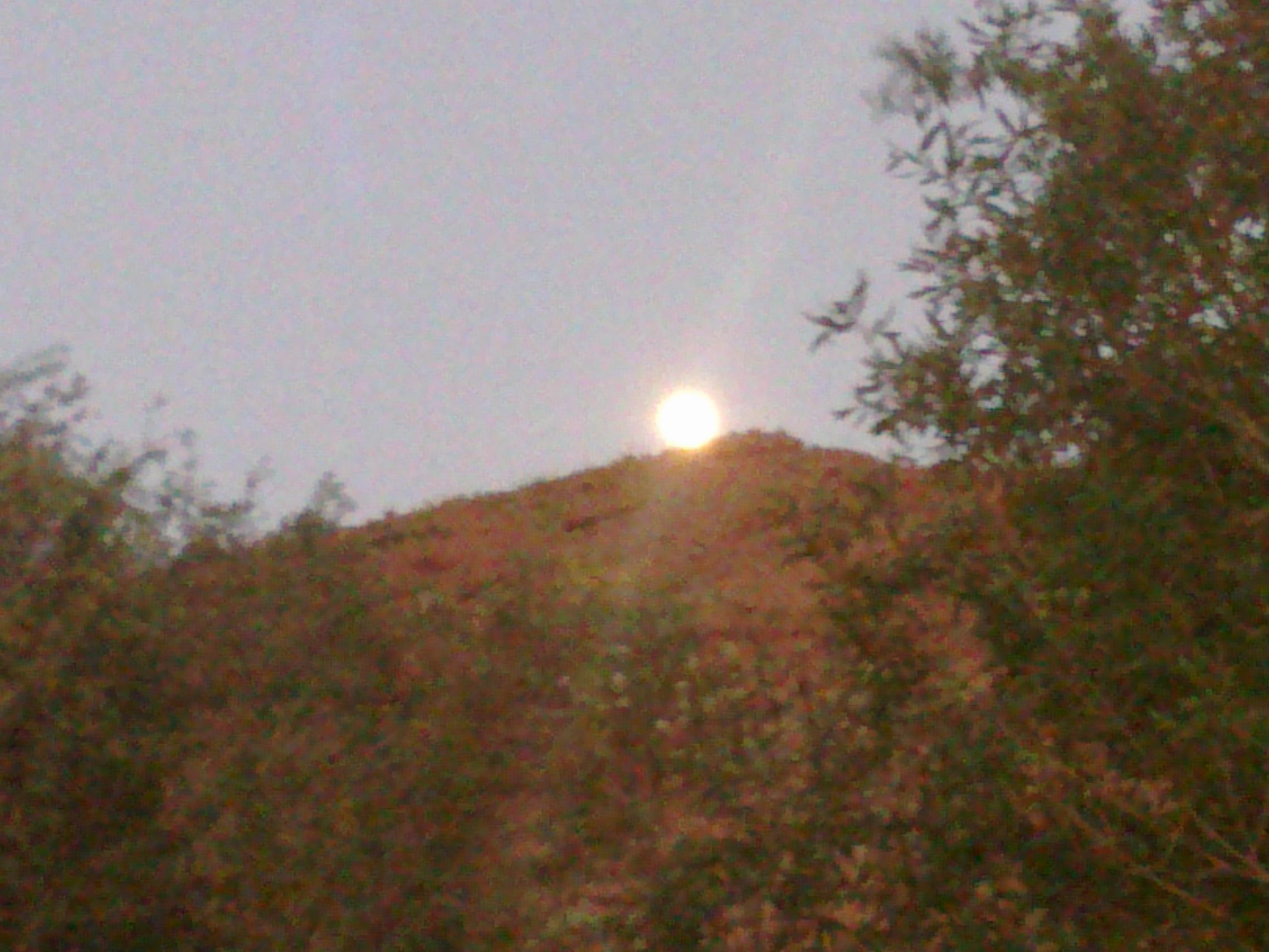 22072011103