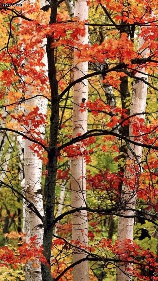 14 pic