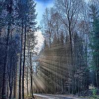 sun