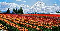 0 299454001349039356 taknaz ir