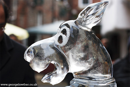 snowandice15