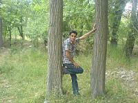 طبیعت زیبای کمیجان