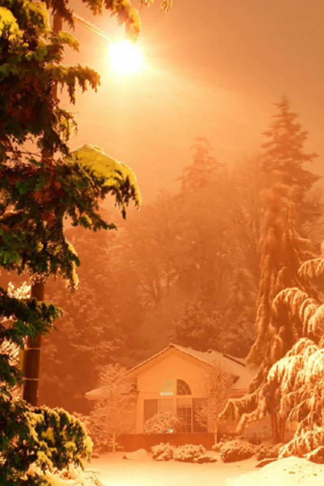 BestNature Persian Star Group 34