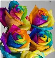 images (3)