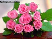 images (1)
