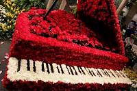 images (4)