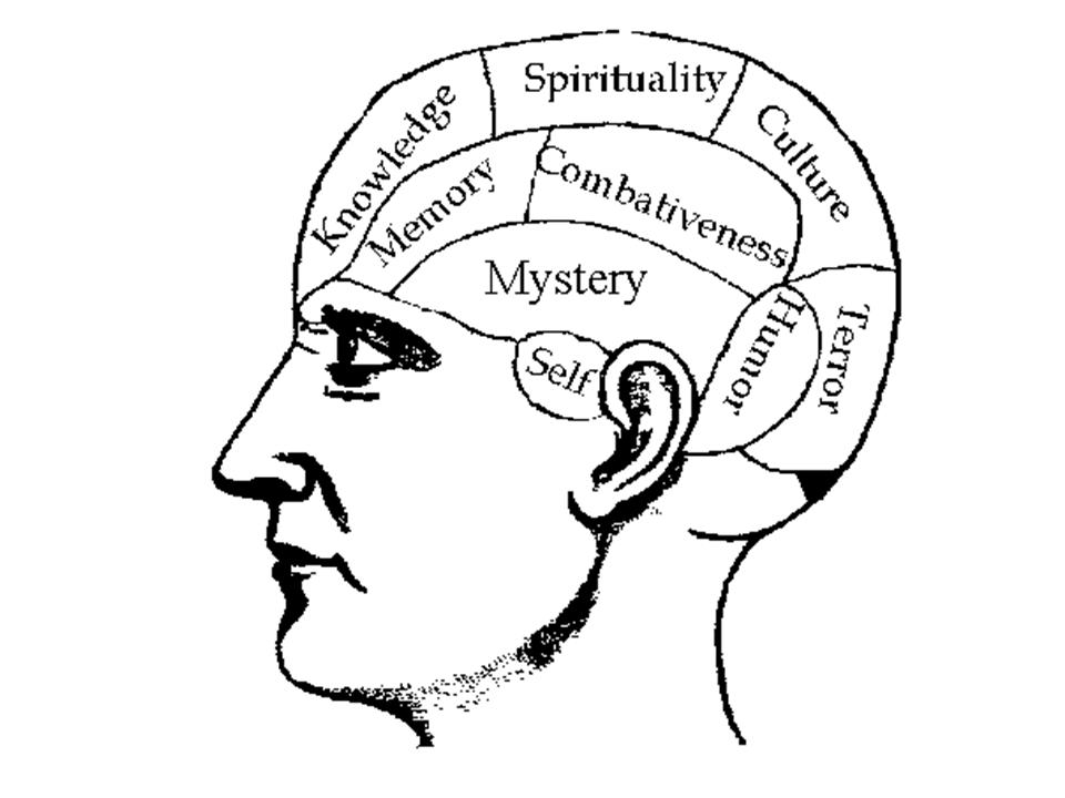 Chapter 2    Neuroscience and Behavior (The Brain)