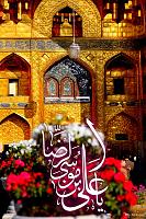 موسی الرضا