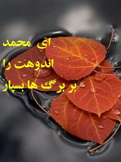 Bargh mnG2