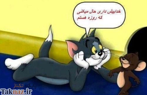 53977787266256350983