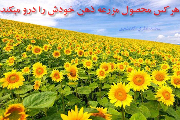1355815605stunning photos 42