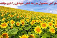 1355815605stunning photos 42
