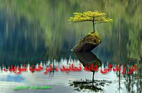 1355815605stunning photos 49