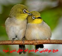 12706224602B2lUbv