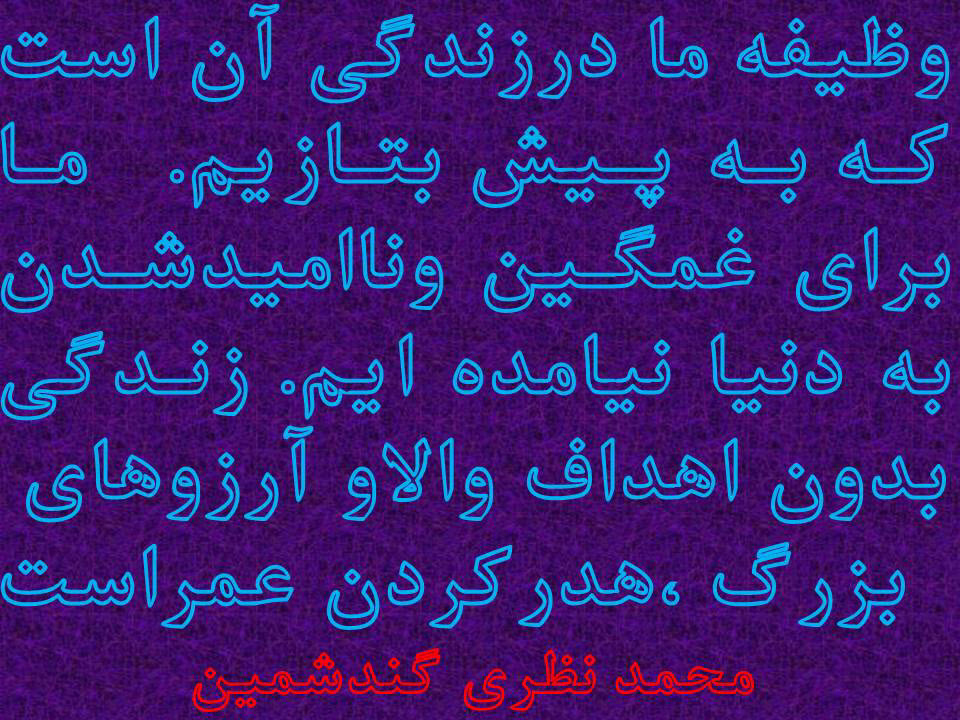 MNG92 (1)