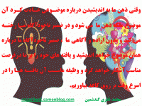 Slide29