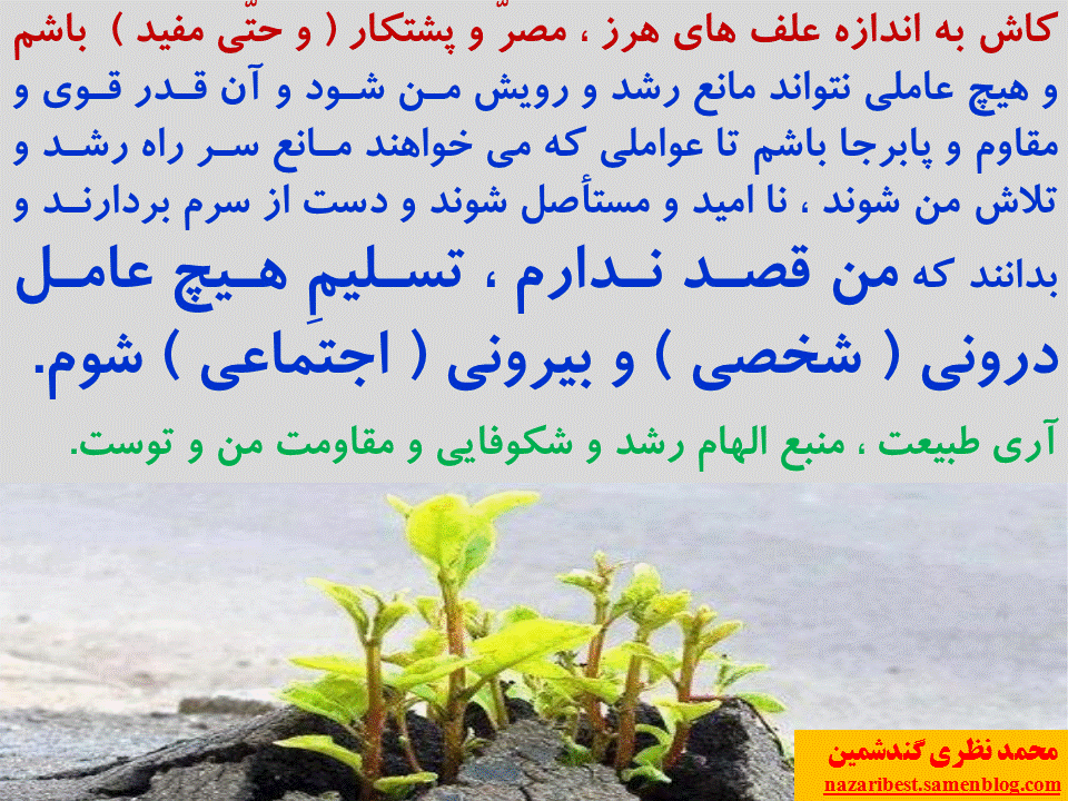 Slide32