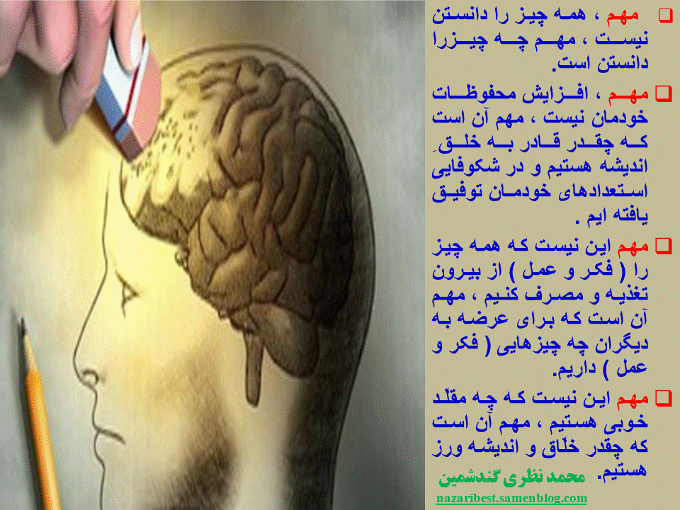 Slide19