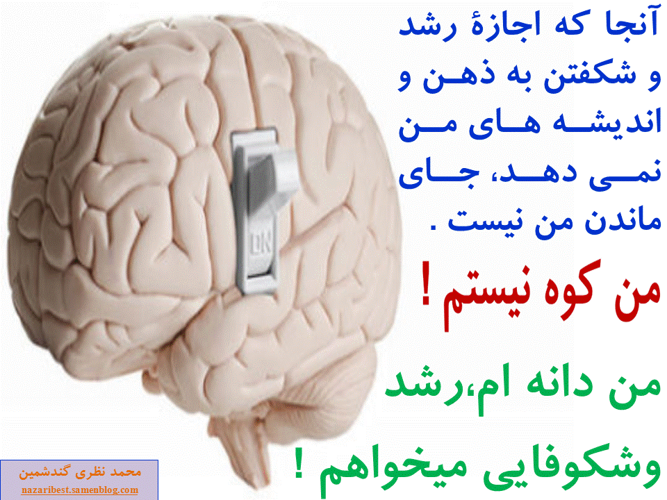 Slide5