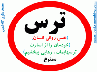 Slide13