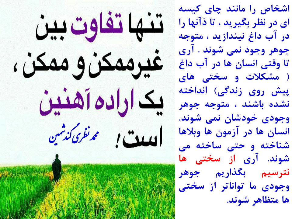 Slide49