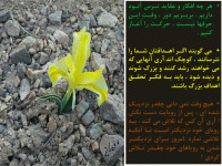 Slide54
