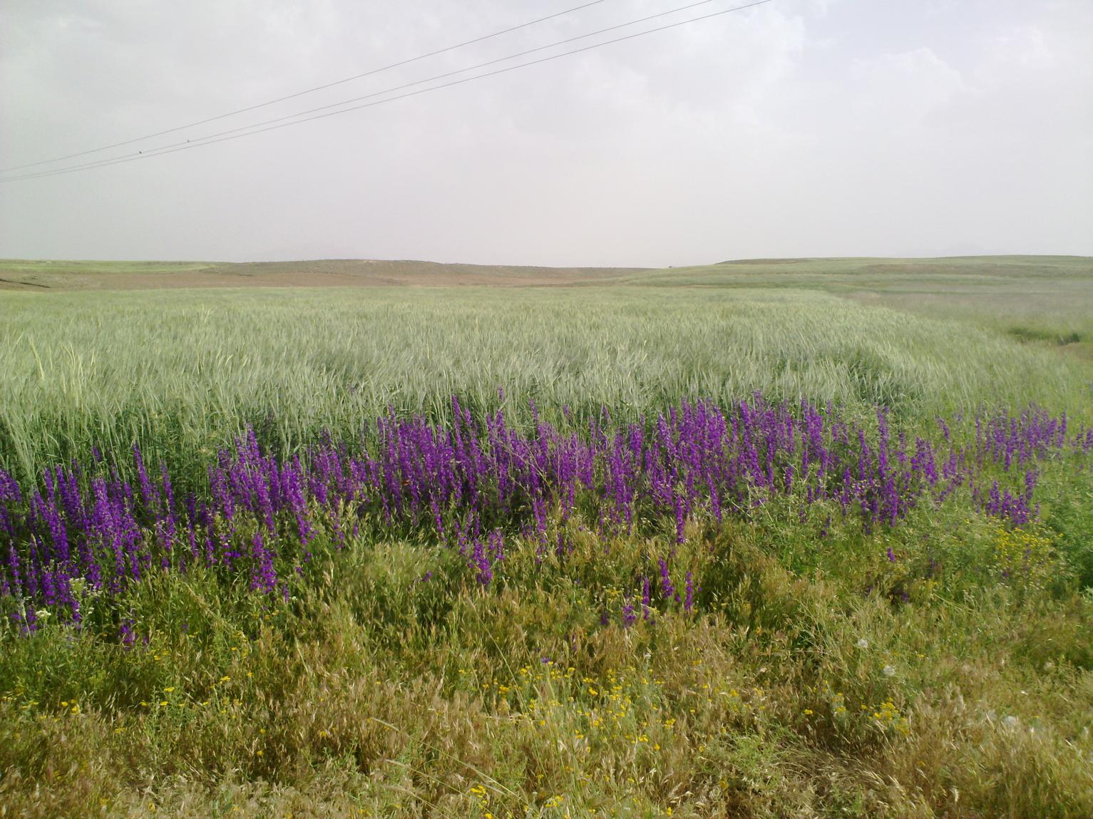 09062011470