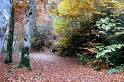 images[15]