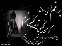 125156549715dmb14