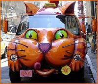 3Jokes Funny cars%20(9)