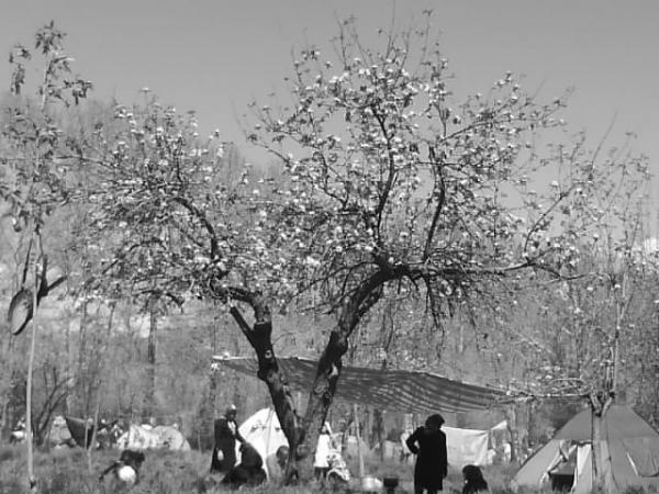 DSC00133