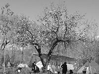 DSC00133