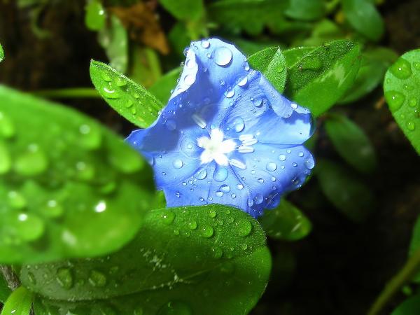 2nature%20(21)