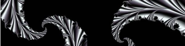 Silver Leaves