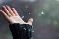 Let It Snow ...