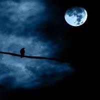MooN...