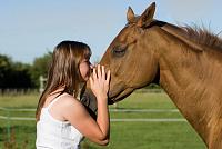Horse ...