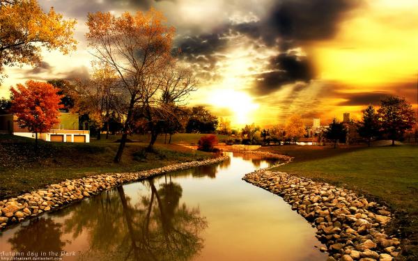 autumn day in the park