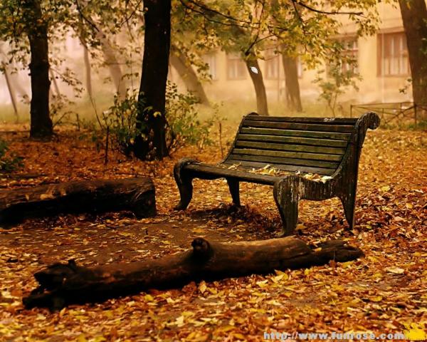 autumn wallpaper1